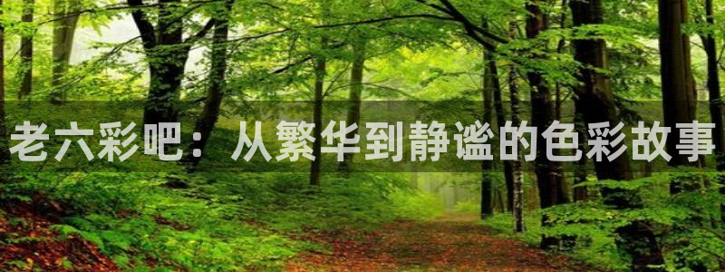 老六彩吧：从繁华到静谧的色彩故事